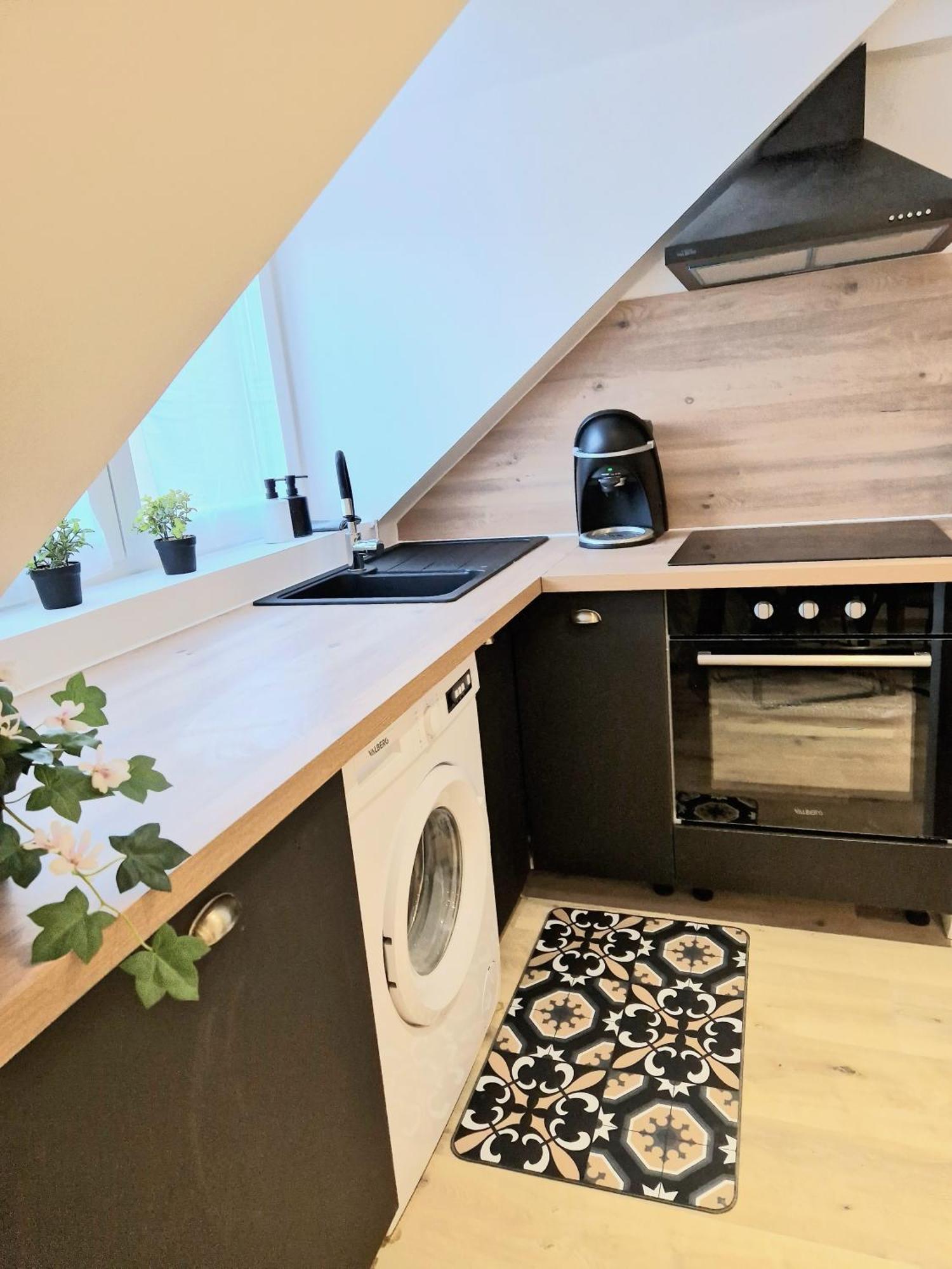 L'Elementaire, Appartement Chic Et Central Mulhouse Dış mekan fotoğraf